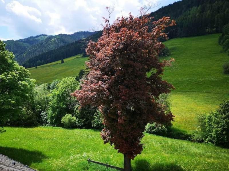 Haus Elsasser Sankt Johann am Tauern Экстерьер фото